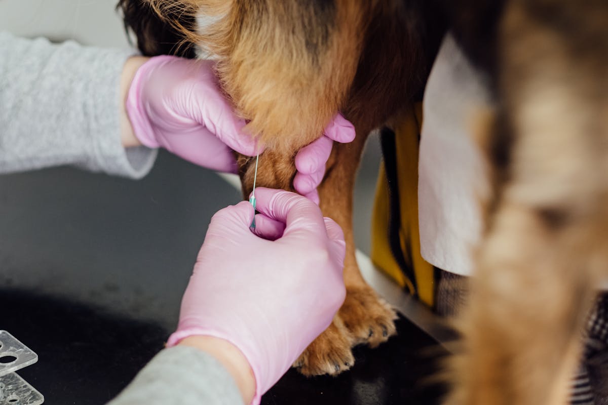 Microchip & Register